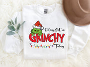'Feeling Extra Grinchy Today' Pattern Family Christmas Matching Pajamas Tops Cute White Long Sleeve Sweatshirts With Dog Bandana